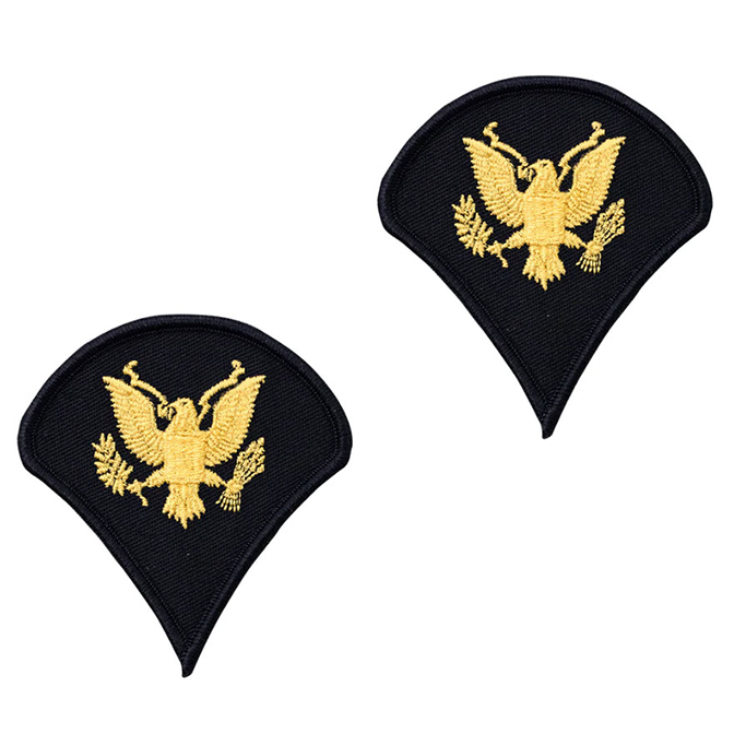 Army Service Uniform Rank Patches - Enlisted Female - Pair