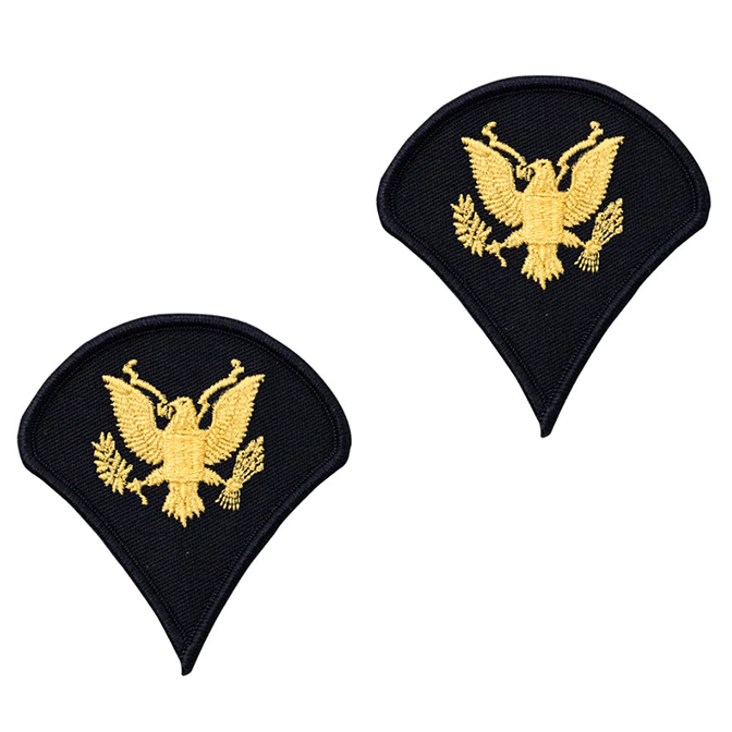 Army Service Uniform Rank Patches - Enlisted Male - Pair