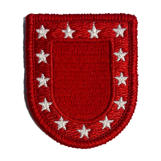 State Defense Force Beret Flash